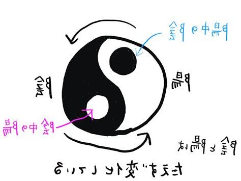 陽 陰 性格